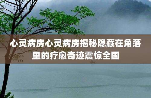 心灵病房心灵病房揭秘隐藏在角落里的疗愈奇迹震惊全国