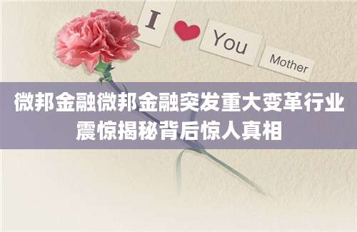 微邦金融微邦金融突发重大变革行业震惊揭秘背后惊人真相