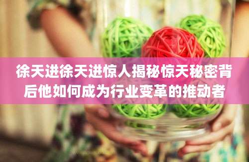 徐天进徐天进惊人揭秘惊天秘密背后他如何成为行业变革的推动者