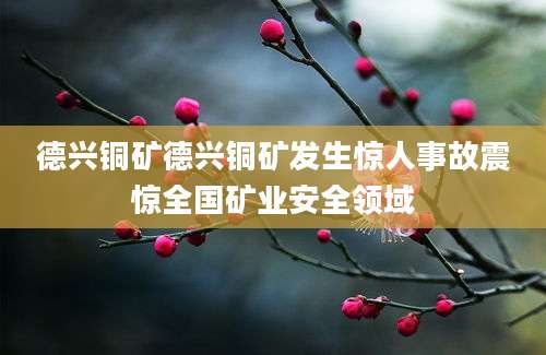 德兴铜矿德兴铜矿发生惊人事故震惊全国矿业安全领域