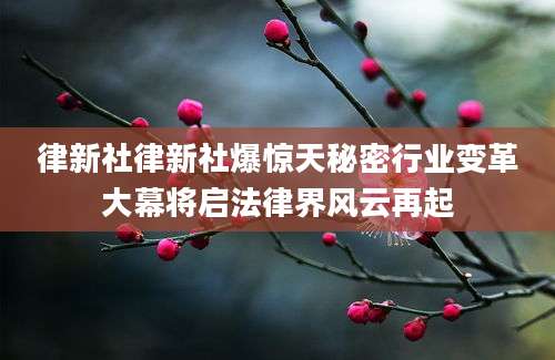 律新社律新社爆惊天秘密行业变革大幕将启法律界风云再起