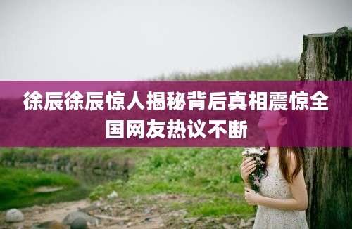 徐辰徐辰惊人揭秘背后真相震惊全国网友热议不断