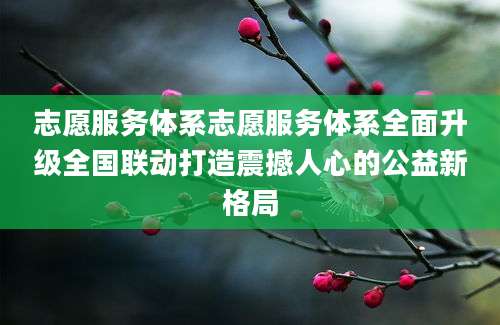 志愿服务体系志愿服务体系全面升级全国联动打造震撼人心的公益新格局