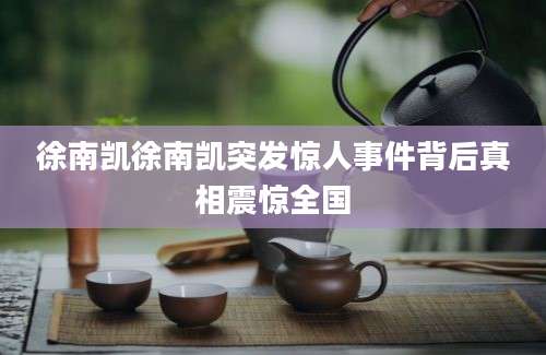 徐南凯徐南凯突发惊人事件背后真相震惊全国
