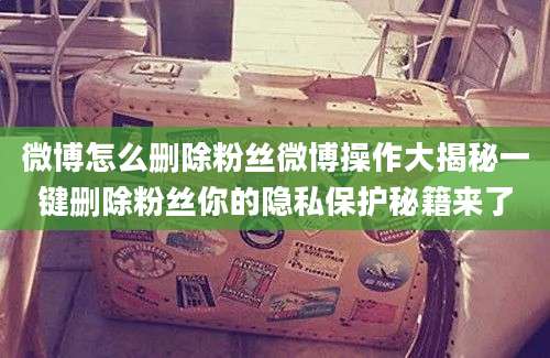 微博怎么删除粉丝微博操作大揭秘一键删除粉丝你的隐私保护秘籍来了