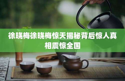 徐晓梅徐晓梅惊天揭秘背后惊人真相震惊全国
