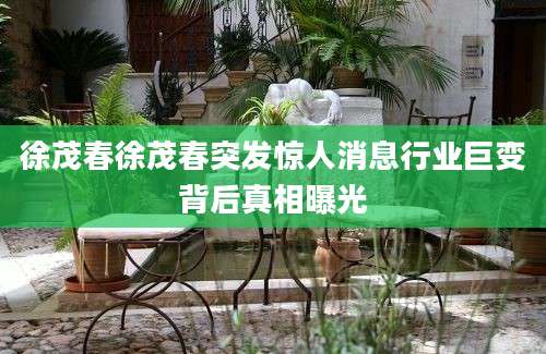 徐茂春徐茂春突发惊人消息行业巨变背后真相曝光