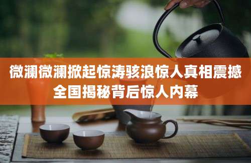 微澜微澜掀起惊涛骇浪惊人真相震撼全国揭秘背后惊人内幕